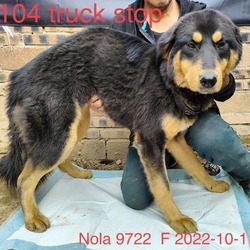 Thumbnail photo of Nola 9722 #2