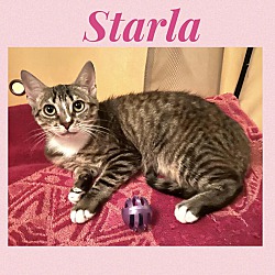 Photo of Starla