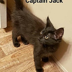 Photo of Captain Jack