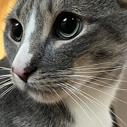 Photo of Bubba