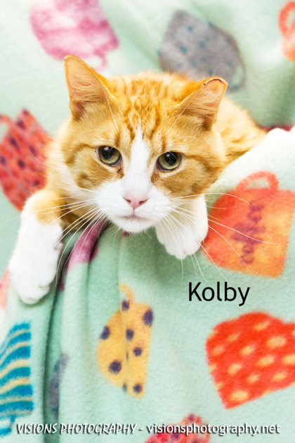 Photo of Kolby