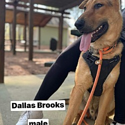 Thumbnail photo of Dallas Brooks #1