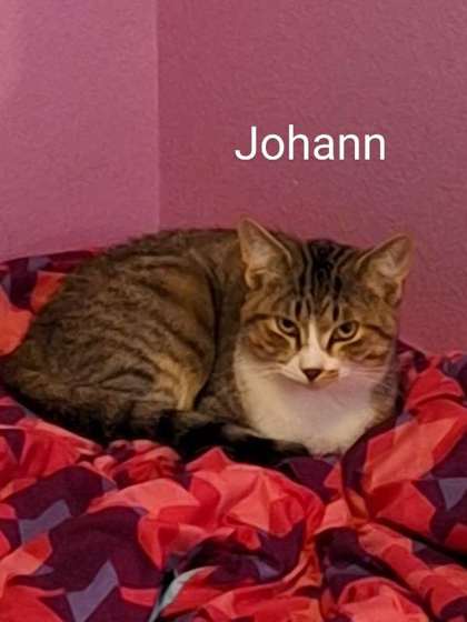 Photo of Johann