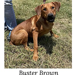 Thumbnail photo of Buster Browne #3