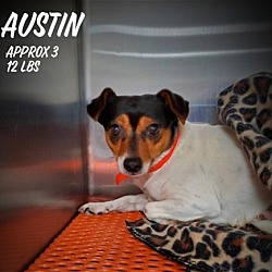 Thumbnail photo of Austin #1