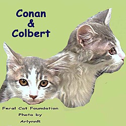 Photo of Colbert and Conan