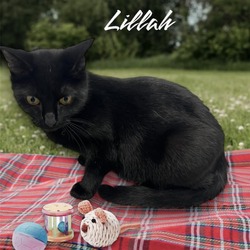 Photo of Lillah