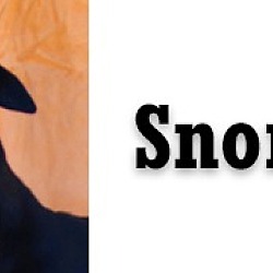 Thumbnail photo of Snorkers #2
