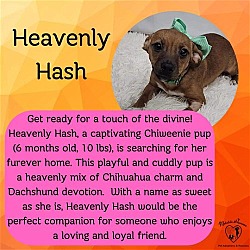 Photo of Heavenly Hash