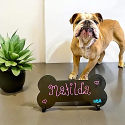 Thumbnail photo of Matilda #1