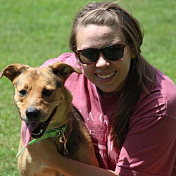 Thumbnail photo of Gracie~adopted! #2