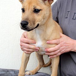 Thumbnail photo of Liam~adopted! #4
