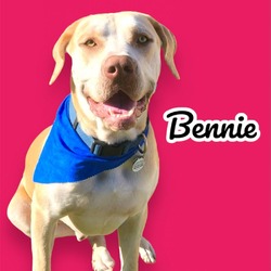 Thumbnail photo of Bennie #1