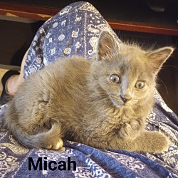 Thumbnail photo of Micah #2