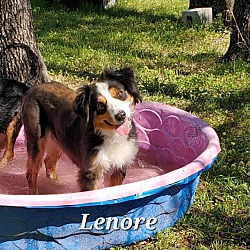 Thumbnail photo of Lenore #3