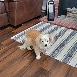 Photo of Lucy