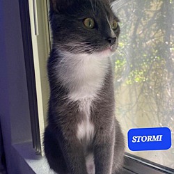 Thumbnail photo of Stormi #1