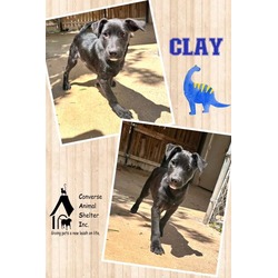 Photo of Clay