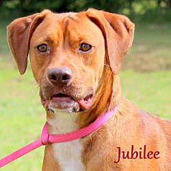 Thumbnail photo of Jubilee ~ meet me! #1