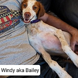 Photo of OK/Windy (TX)