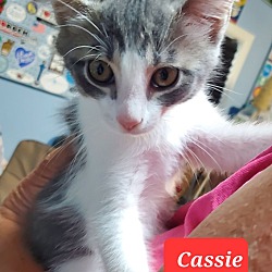 Photo of Cassie