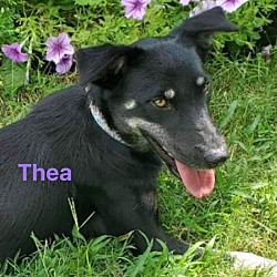 Thumbnail photo of Thea #3