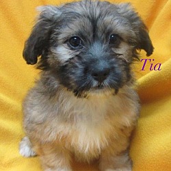 Photo of Tia