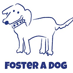 Photo of Foster A Dog