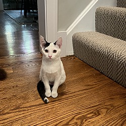 Photo of Meg