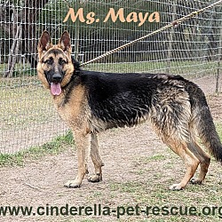 Photo of Ms. Maya