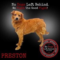 Thumbnail photo of Preston 9864 #1