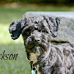 Thumbnail photo of Jackson #2