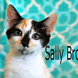 Thumbnail photo of Sally Brown #2