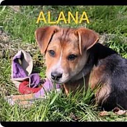 Photo of Alaina