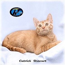 Thumbnail photo of Catrick Stewart #2