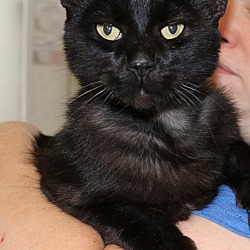 Photo of Smokey