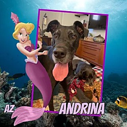 Thumbnail photo of Andrina #1