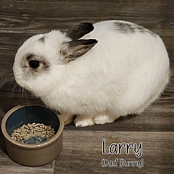 Photo of Larry