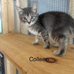 Photo of Colleen