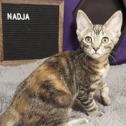 Photo of Nadja
