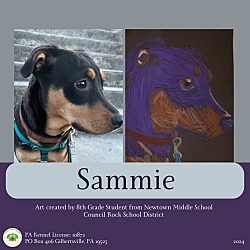 Thumbnail photo of Sammie #1