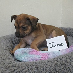 Thumbnail photo of June #2