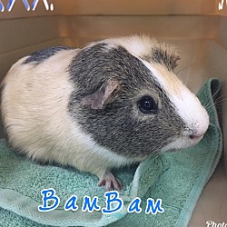 Photo of BamBam