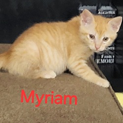 Photo of Myriam