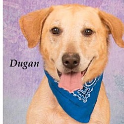 Thumbnail photo of Dugan #1