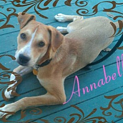 Thumbnail photo of Annabelle #1