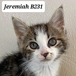 Photo of Jeremiah B231