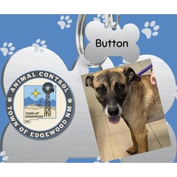 Thumbnail photo of Button #1