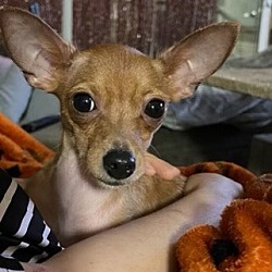 Photo of Bobbi