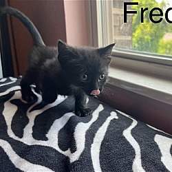 Photo of Frederick